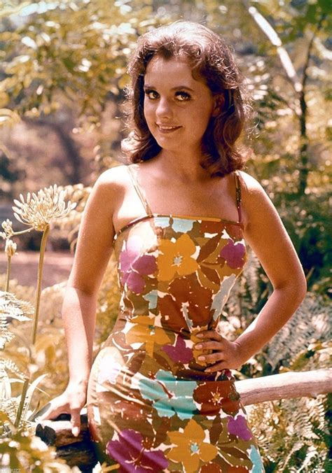 dawn wells sexy pics|X.